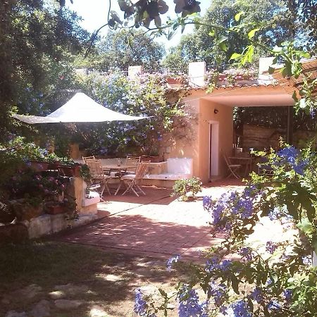 B&B Le Corti Di Aloa San Pantaleo Extérieur photo