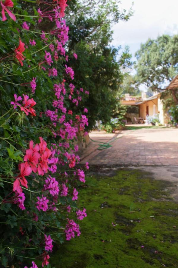 B&B Le Corti Di Aloa San Pantaleo Extérieur photo