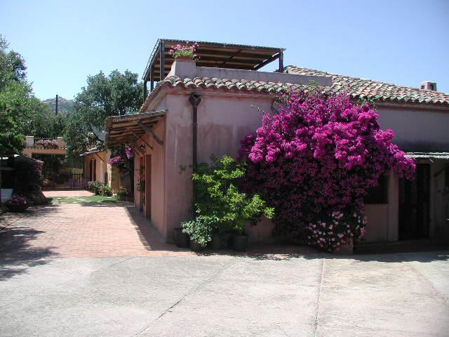 B&B Le Corti Di Aloa San Pantaleo Extérieur photo